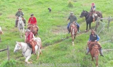 ITUZAINGO | RECUPERAN 11 ANIMALES ROBADOS TRAS OPERATIVO RURAL