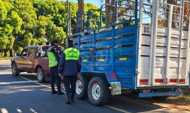 CORRIENTES | SECUESTRAN CAMIONETA CON CABALLOS SIN DOCUMENTACIÓN