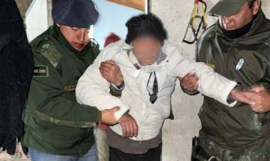 GOYA | UN PERRO AYUDÓ A SALVAR A UN ABUELO PERDIDO EN EL MONTE