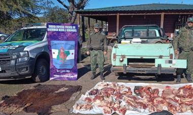MERCEDES | DESCUBREN UNA CAMIONETA CON DOBLE FONDO Y CARNE OCULTA EN UNA CAUSA POR ABIGEATO