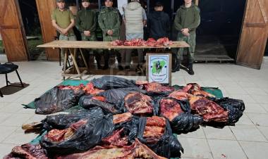 SALADAS | TRANSPORTABAN CARNE SIN CONTROL SANITARIO Y TERMINARON APREHENDIDOS