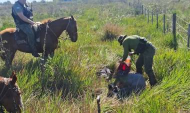 ITUZAINGO | SORPRENDEN A TRES "MIÑOQUEROS" DENTRO DE UN CAMPO PRIVADO