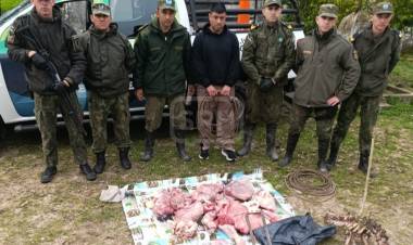 GOYA | ESCONDÍAN CARNE DE UN VACUNO DEBAJO DE UNA CAMA