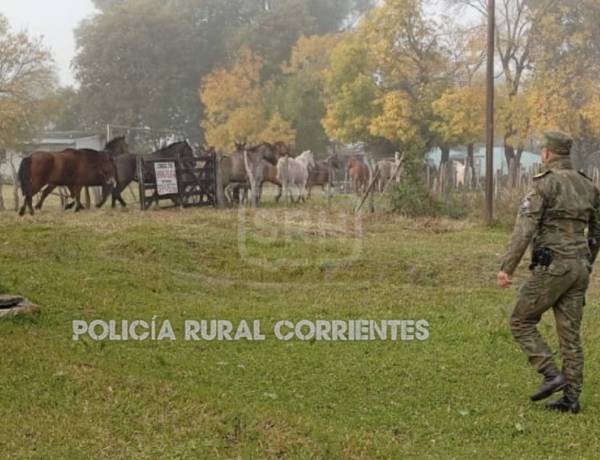 OTRA VEZ LOS CABALLOS SUELTOS EN SAN ROQUE