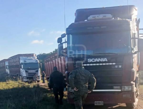 SANTO TOMÉ | DENUNCIÓ EL ROBO DE 150 VACAS… ¡Y TERMINÓ DETENIDA POR ABIGEATO!