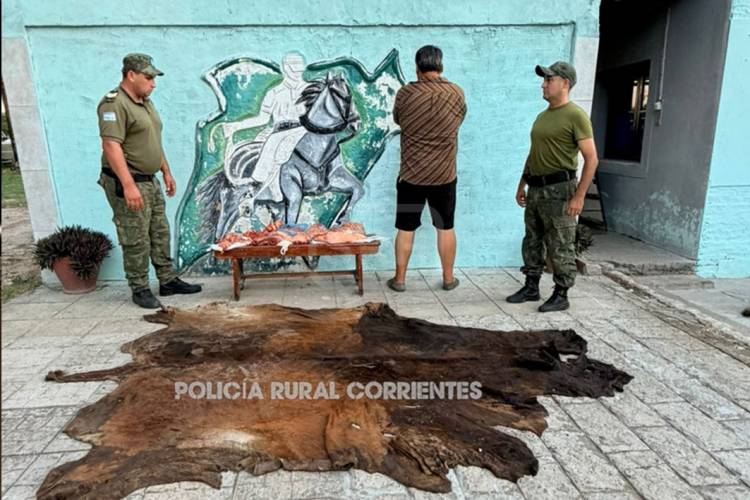 SECUESTRAN CARNE VACUNA TRANSPORTADA SIN CONTROL SANITARIO