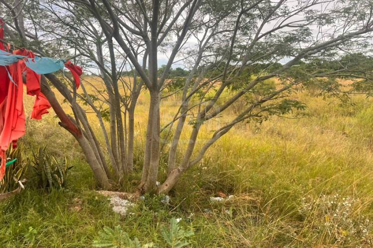 HALLARON LAS URNAS FUNERARIAS ROBADAS EN 9 DE JULIO