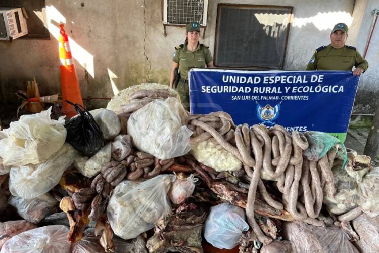 RAMADA PASO | SECUESTRAN MÁS DE 500 KILOS DE CARNE EN MAL ESTADO