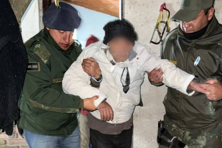 GOYA | UN PERRO AYUDÓ A SALVAR A UN ABUELO PERDIDO EN EL MONTE