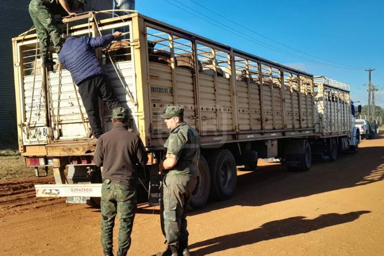 DESIDERIO SOSA | SECUESTRAN 33 CABALLOS EN UN CONTROL RURAL