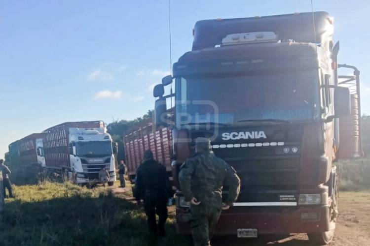 SANTO TOMÉ | DENUNCIÓ EL ROBO DE 150 VACAS… ¡Y TERMINÓ DETENIDA POR ABIGEATO!