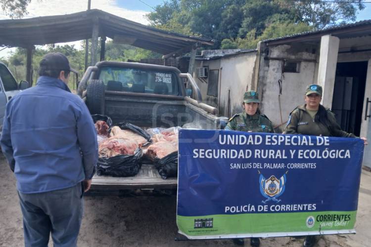 SAN CAYETANO | LLEVABA UNA VACA FAENADA EN LA CAJA DE LA CAMIONETA