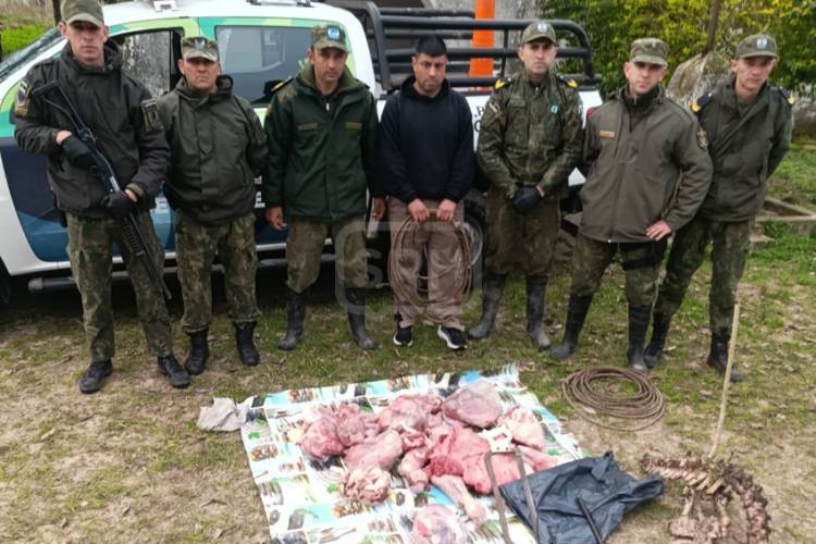 GOYA | ESCONDÍAN CARNE DE UN VACUNO DEBAJO DE UNA CAMA